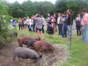 YFN pigs and tour pic