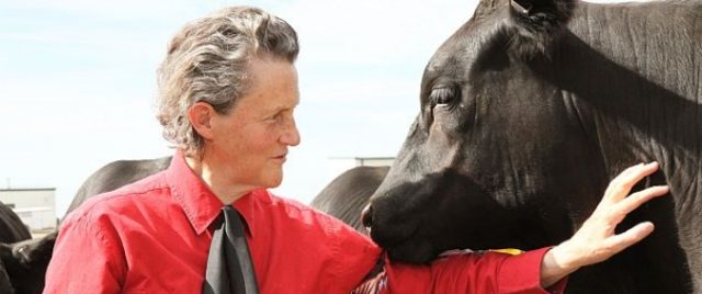 Temple Grandin Answers Your Questions on The Farmers Forum