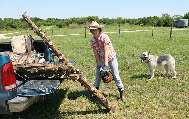 chainsaw _cropped