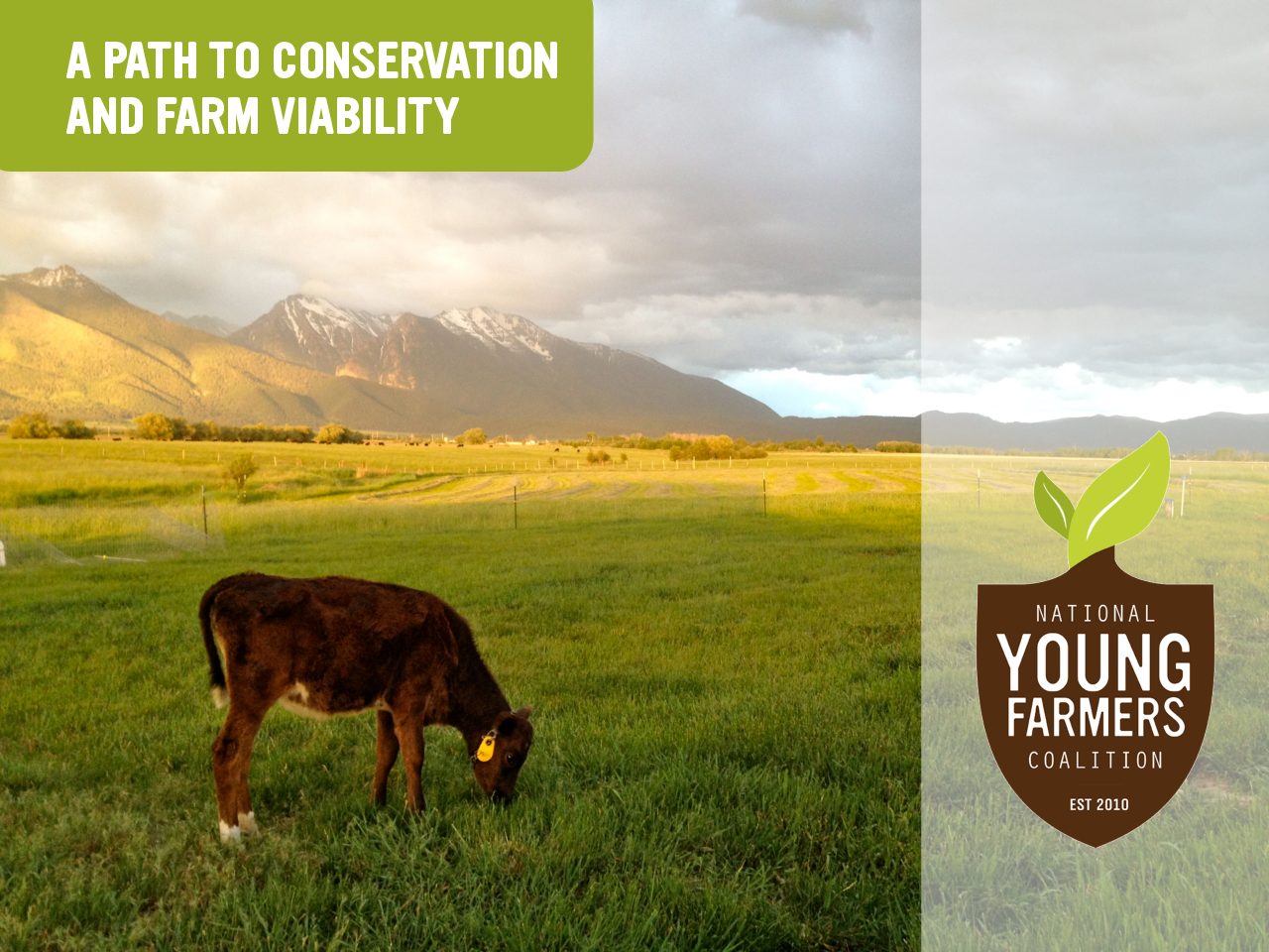 A Path to Conservation and Farm Viability: Case Studies – National ...