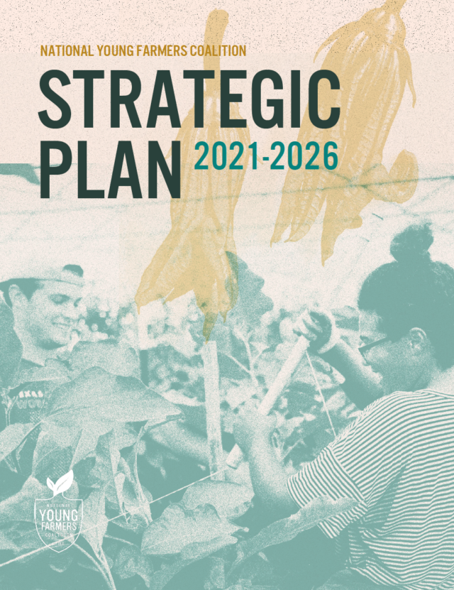 Young Farmers Strategic Plan 2021-2026