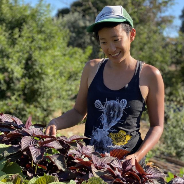 Young Farmer Climate Perspectives: Kellee Matsushita-Tseng, UCSC Farm, Santa Cruz, CA