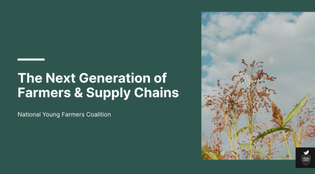 The Next Generation of Farmers and Supply Chains
